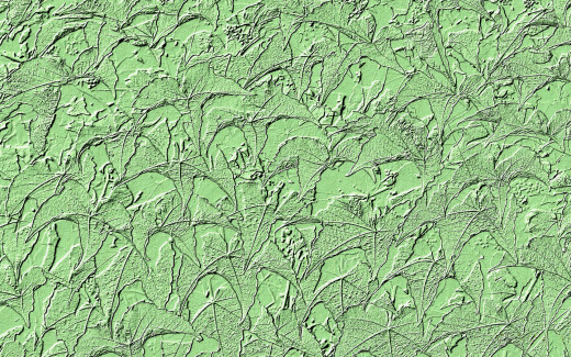 386546 (a): :1680x1050